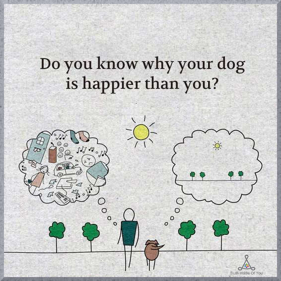 Do-you-know-why-your-dog-is-happier-than-you